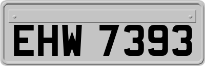 EHW7393