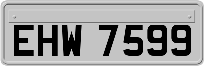 EHW7599