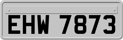 EHW7873