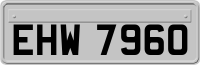 EHW7960
