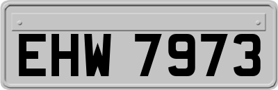 EHW7973
