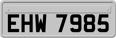 EHW7985