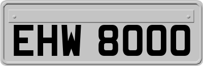 EHW8000