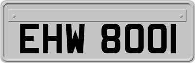 EHW8001