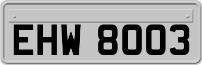 EHW8003