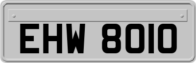 EHW8010