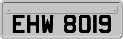 EHW8019