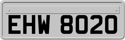 EHW8020