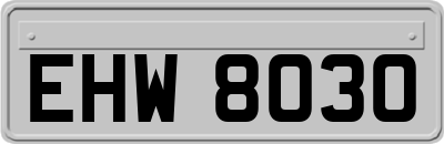EHW8030