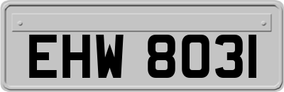 EHW8031