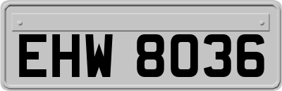EHW8036