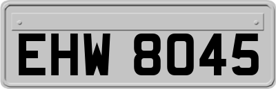 EHW8045