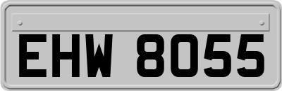 EHW8055