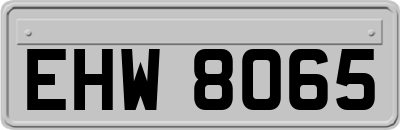 EHW8065