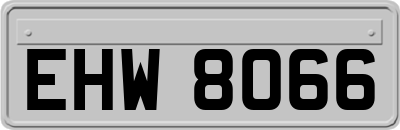 EHW8066