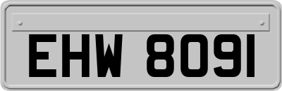 EHW8091