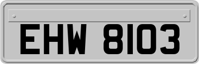EHW8103