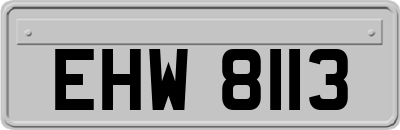 EHW8113