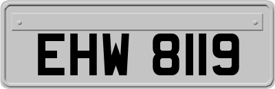 EHW8119