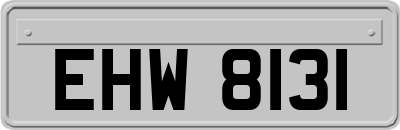 EHW8131