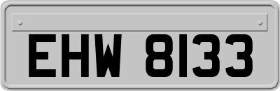EHW8133