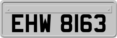EHW8163