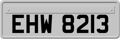 EHW8213