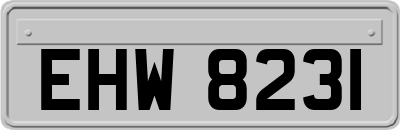 EHW8231