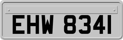 EHW8341