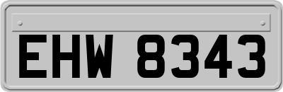 EHW8343