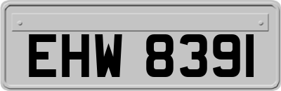 EHW8391