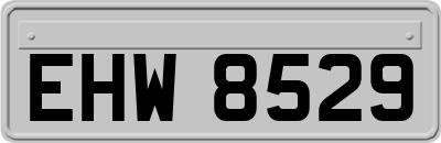 EHW8529