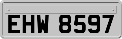 EHW8597