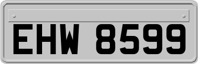 EHW8599