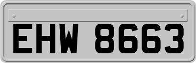 EHW8663