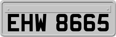 EHW8665