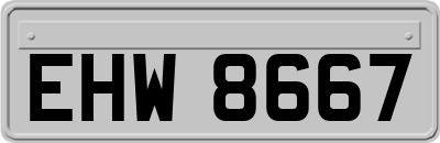EHW8667