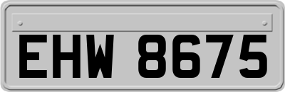 EHW8675