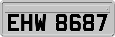EHW8687