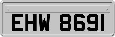 EHW8691