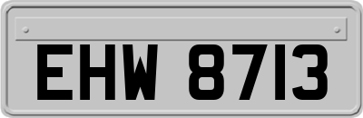 EHW8713