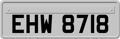 EHW8718