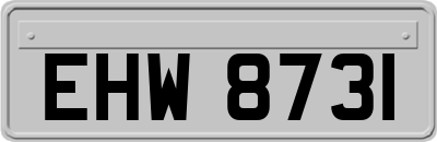 EHW8731