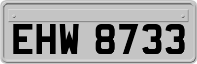 EHW8733