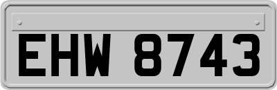 EHW8743