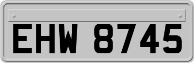 EHW8745