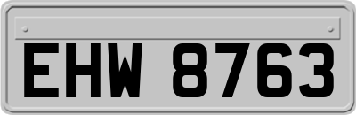EHW8763