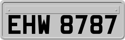 EHW8787