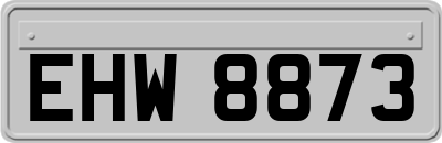 EHW8873