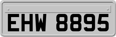 EHW8895